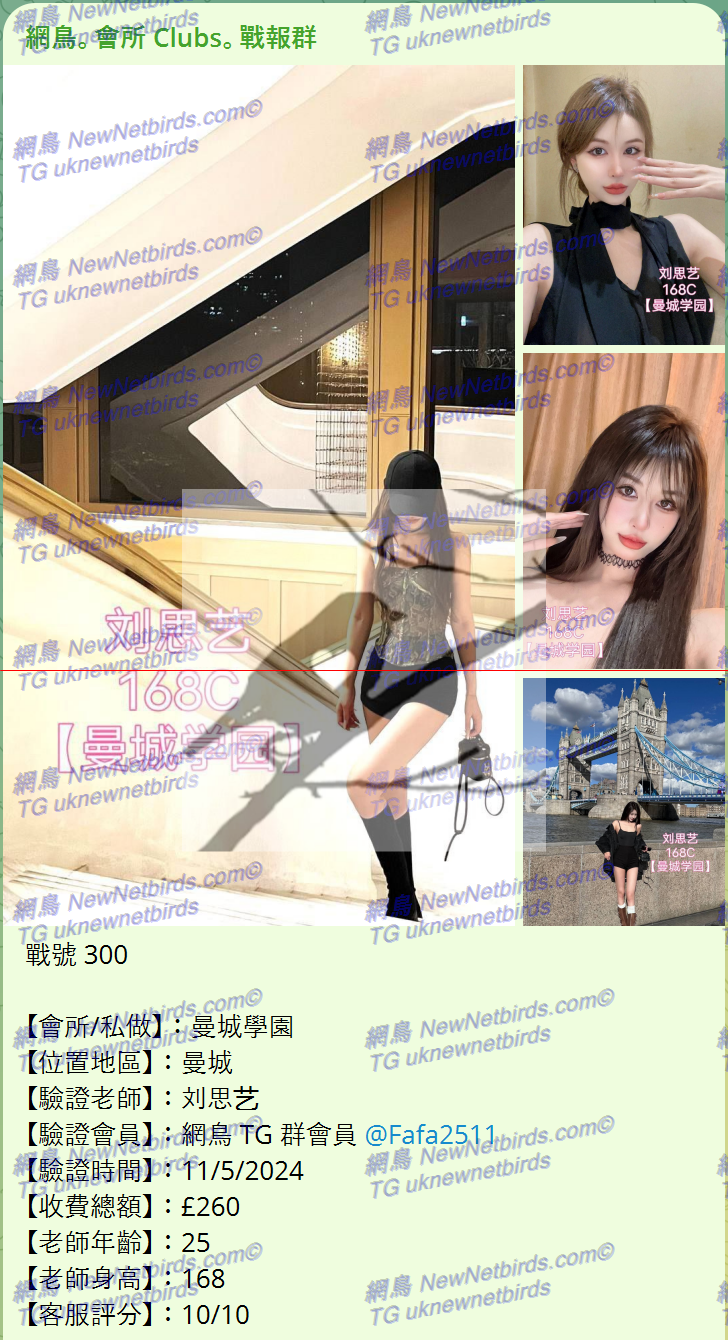 戰號 300 1.png